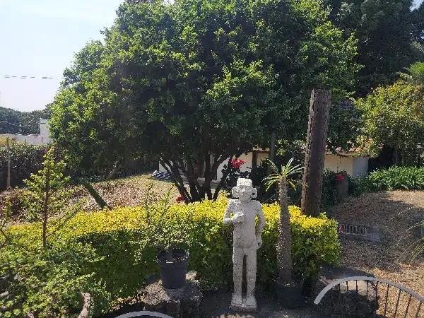 Land in Cuernavaca, Morelos, Mexico 3 - 18726000