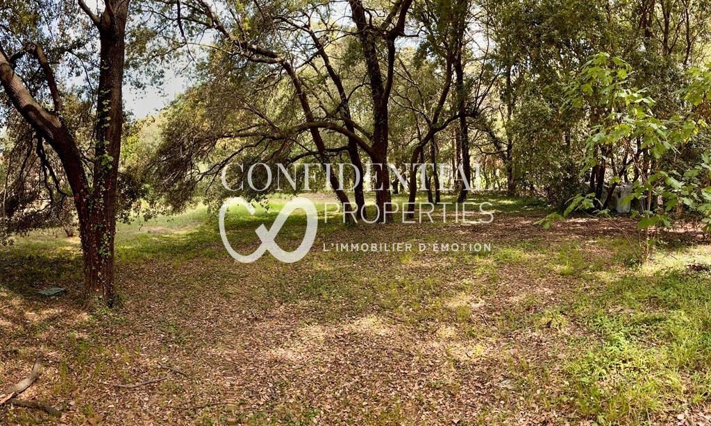 Domaine à Mougins, Provence-Alpes-Côte d'Azur, France 2 - 18728263