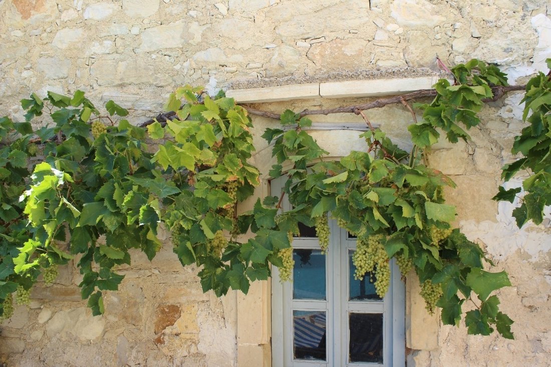 Villa in Apokoronas, Greece 5 - 18722445