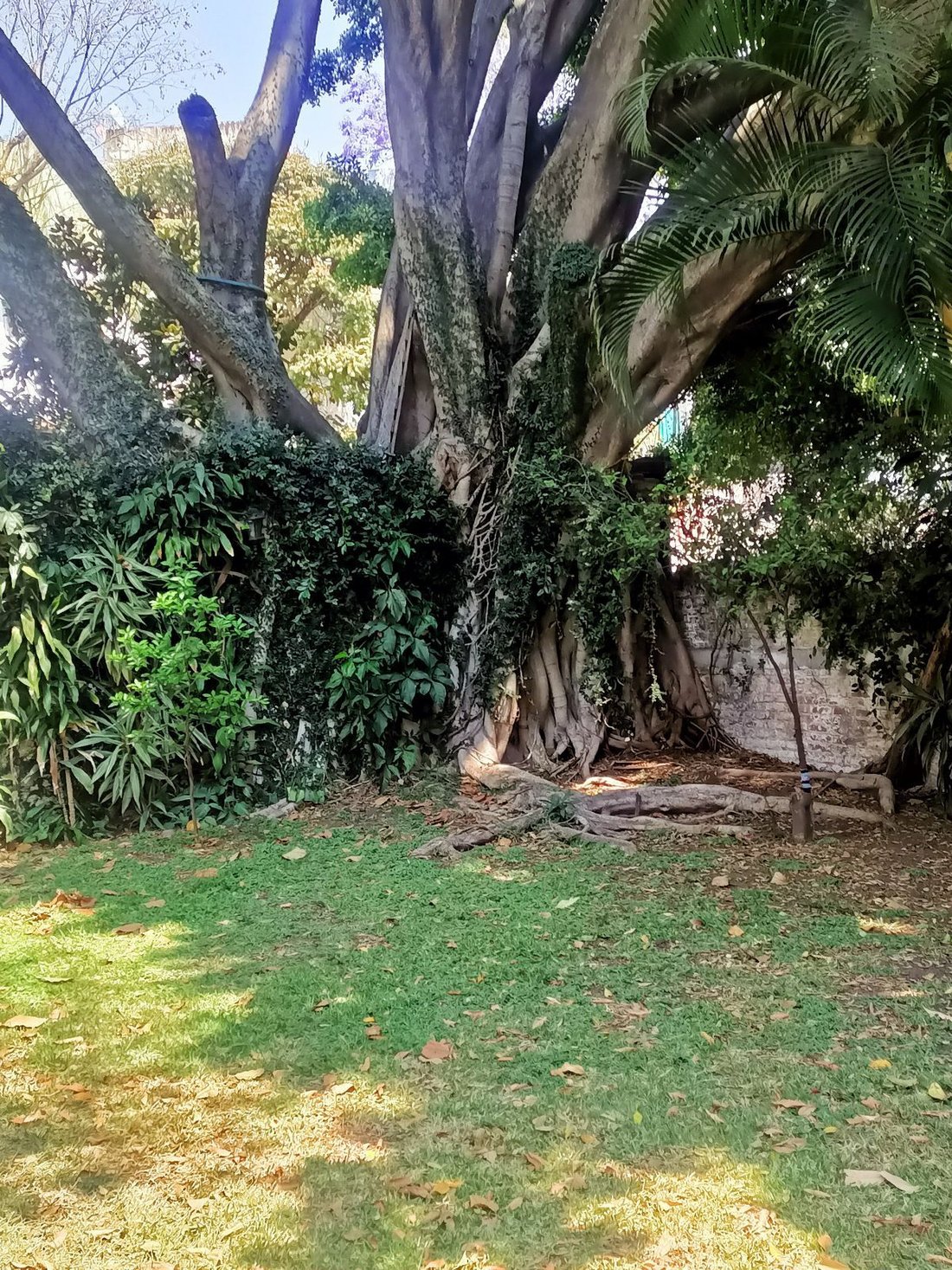House in Cuernavaca, Morelos, Mexico 4 - 18726003