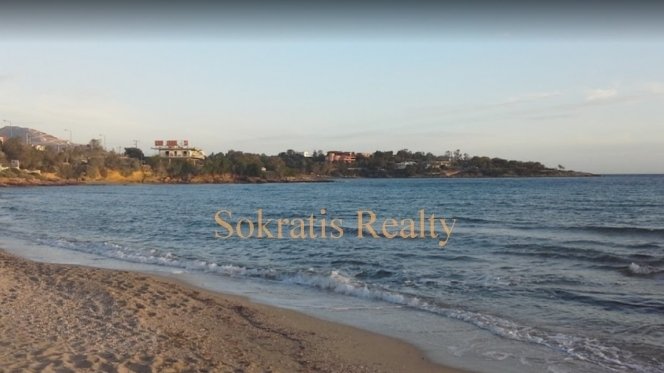 Land in Palea Fokea, Attica, Greece 4 - 18724897