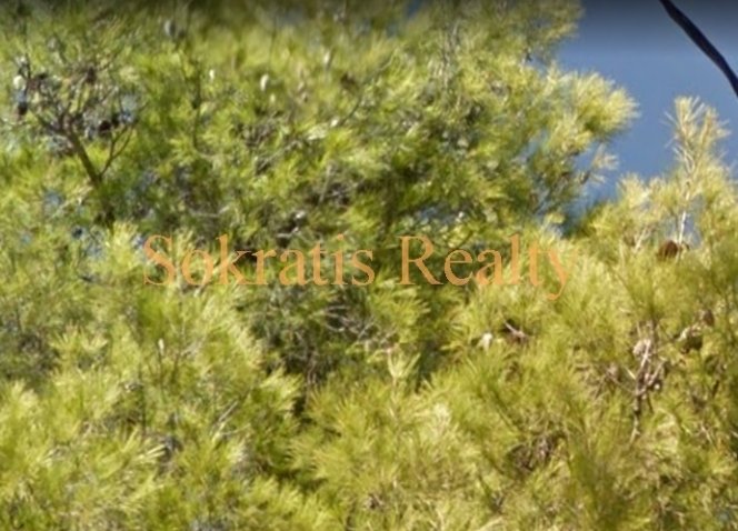 Land in Egaleo, Attika, Griechenland 1 - 18725325