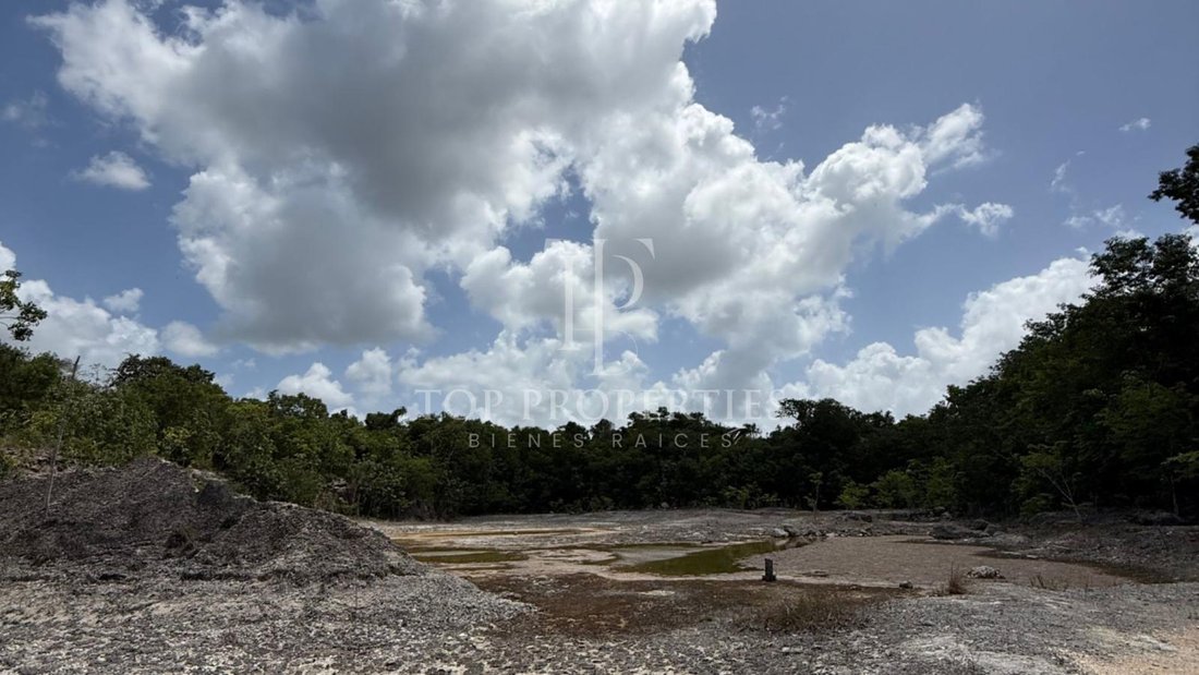 Terrain à Leona Vicario, Quintana Roo, Mexique 1 - 18725880