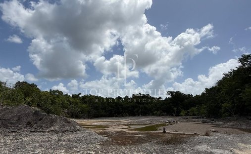 Terrain à Leona Vicario, Quintana Roo, Mexique 1