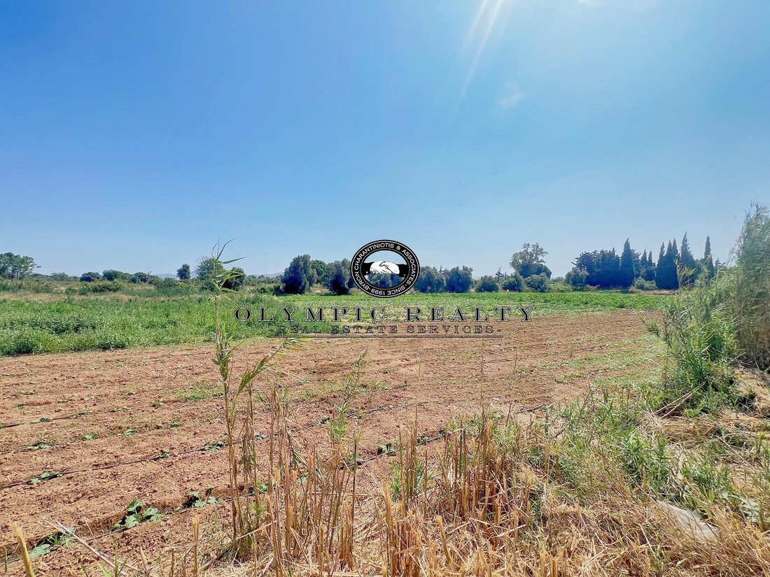 Land in Marathonas, Attica, Greece 1 - 18723613