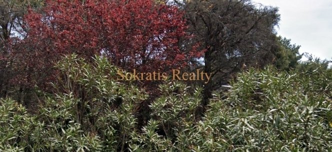 Land in Kifisia, Attica, Greece 5 - 18725439