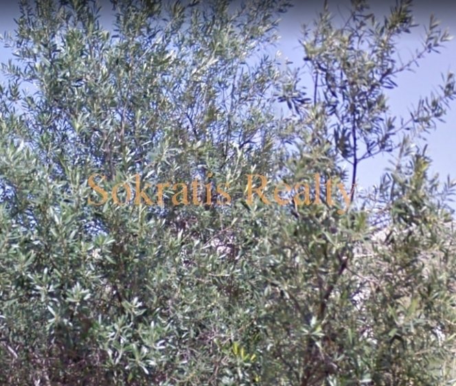 Land in Glyfada, Attika, Griechenland 5 - 18725074