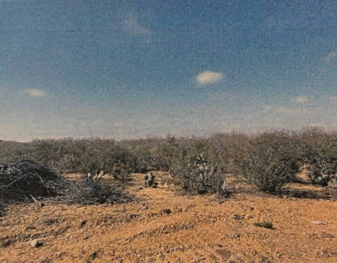 Land in Laredo, Texas, Vereinigte Staaten 2 - 18727010