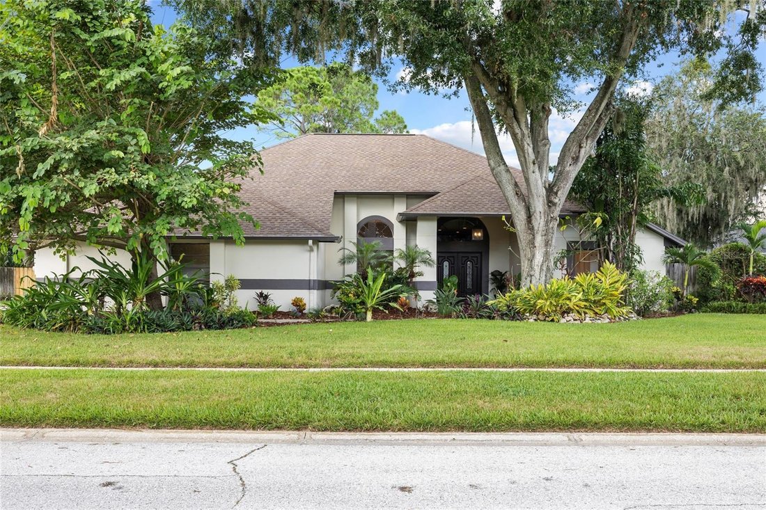 Casa en Lutz, Florida, Estados Unidos 2 - 18726689