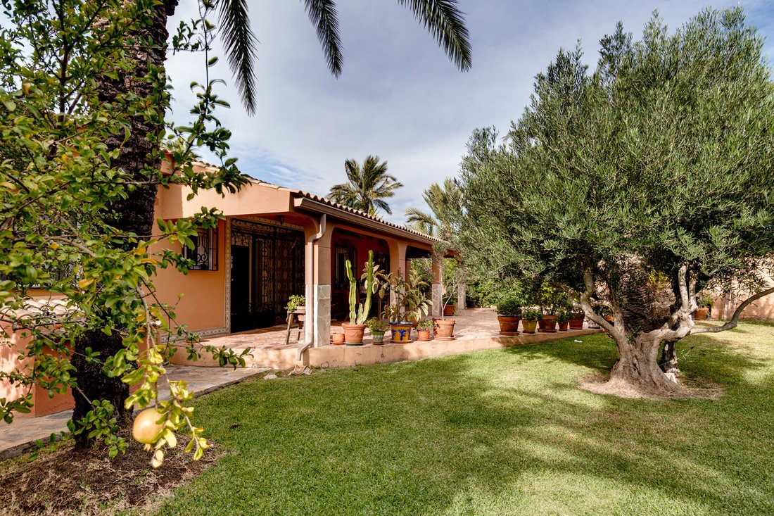 Villa in Torrevieja, Valencian Community, Spain 3 - 18721102