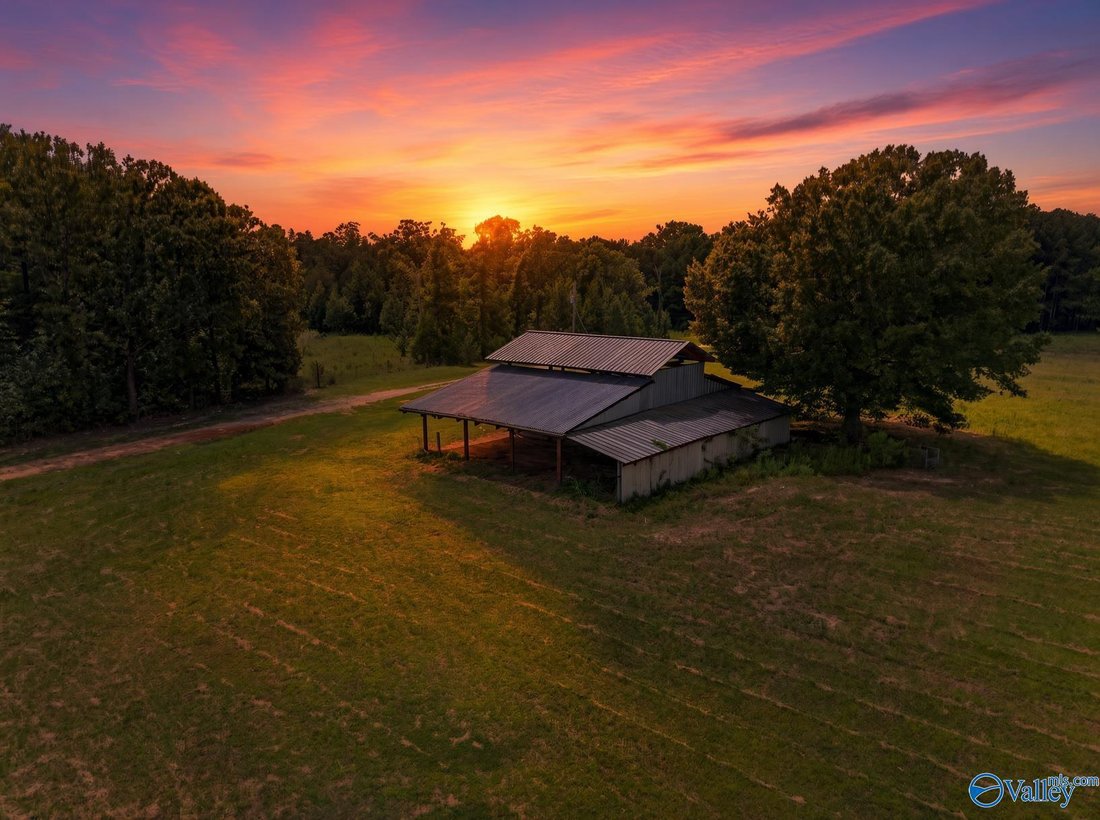 Farm Ranch in Cedar Bluff, Alabama, Vereinigte Staaten 2 - 18726567