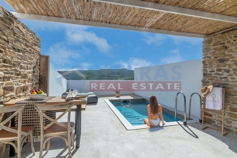 Estate in Tinos, Aegean, Greece 2 - 18724610