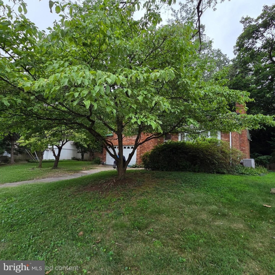 Haus in Bethesda, Maryland, Vereinigte Staaten 2 - 18730336