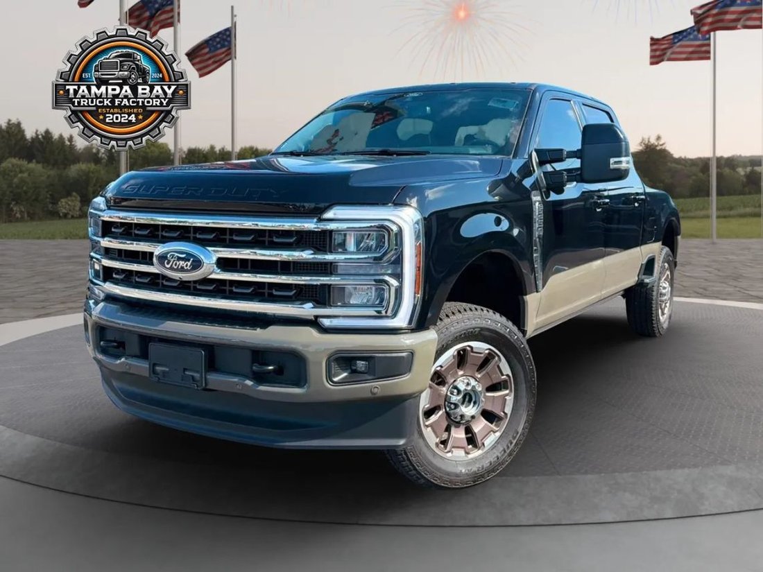 Pickup in Tampa, FL, United States 1 - 18721477