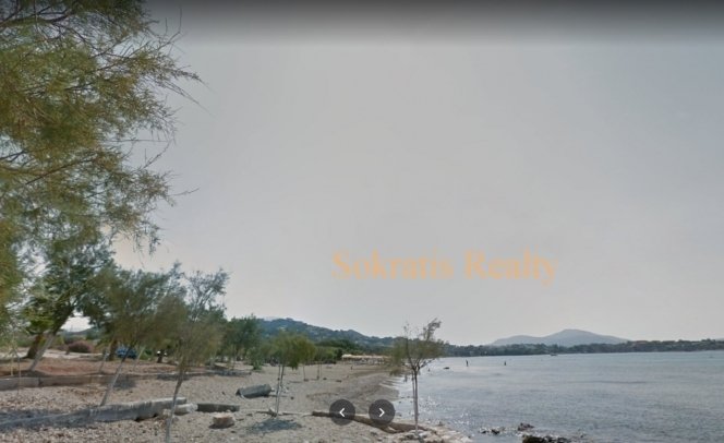 Land in Palea Fokea, Attica, Greece 1 - 18724897