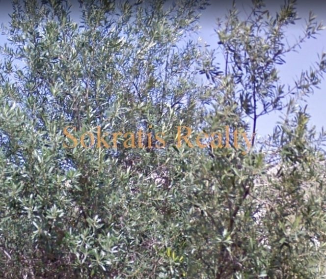 Land in Egaleo, Attika, Griechenland 4 - 18725282