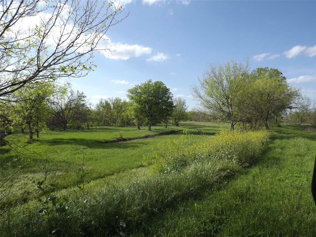 Farm Ranch in Austin, Texas, United States 2 - 15025100