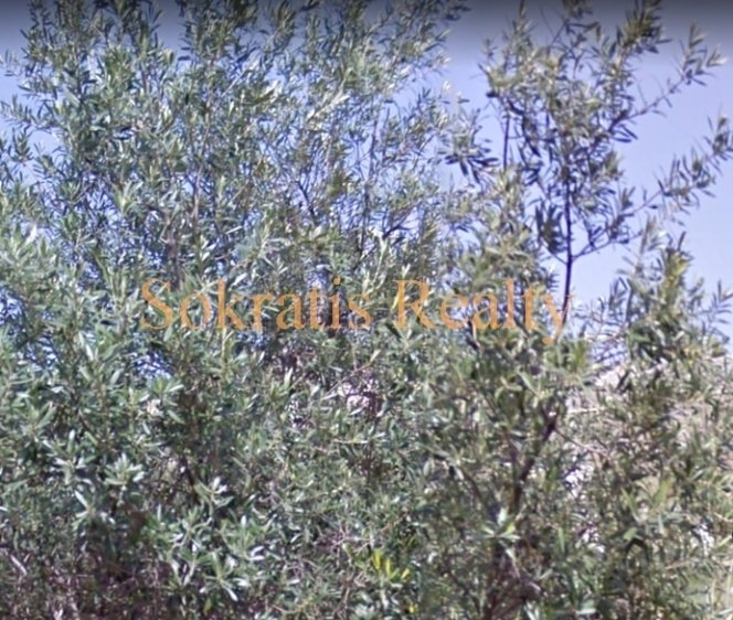 Land in Glyfada, Attika, Griechenland 4 - 18725074