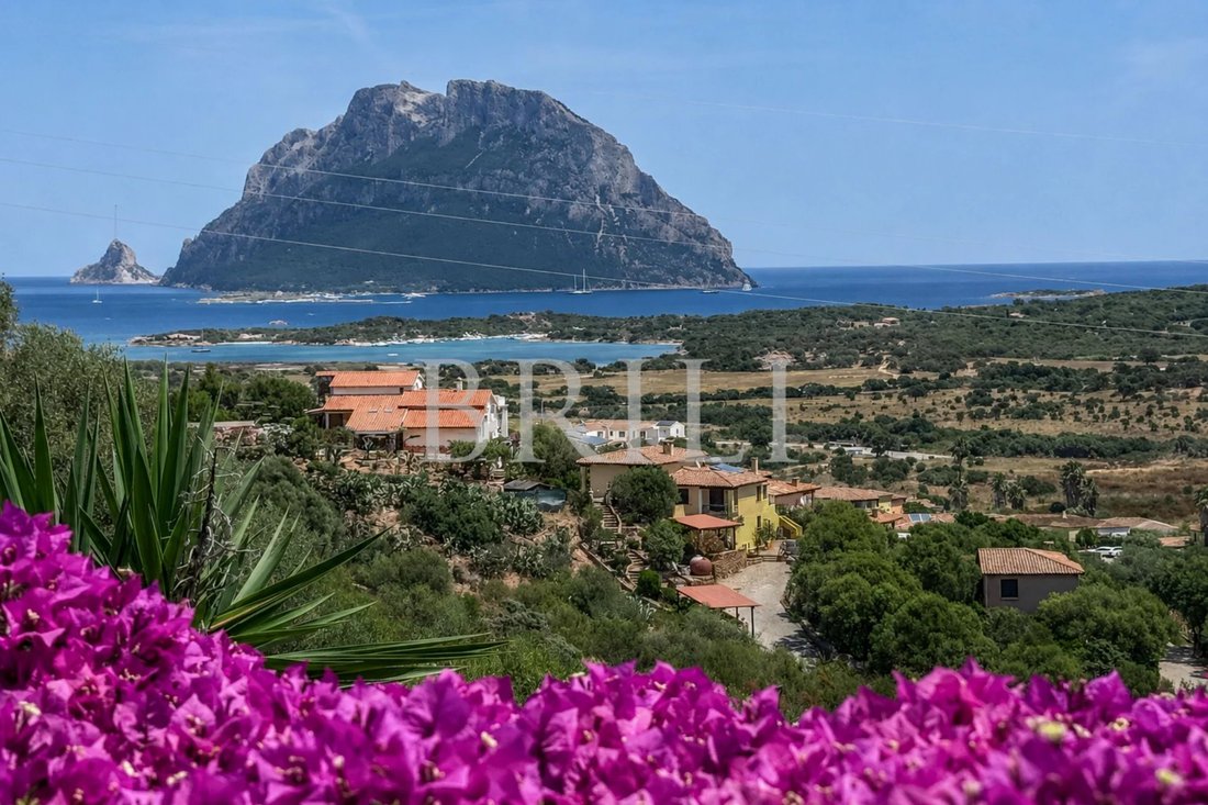 Villa in Loiri Porto San Paolo, Sardinien, Italien 5 - 18186408