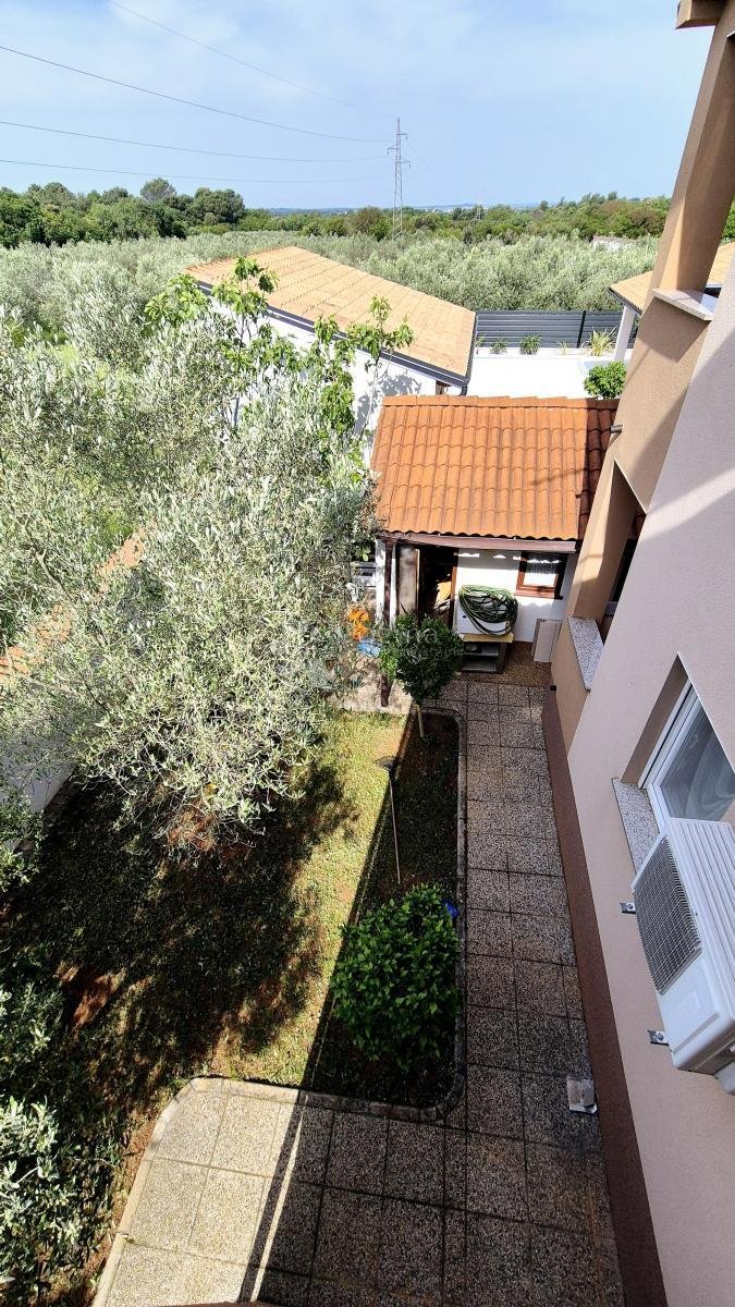 House in Galizana, Istria County, Croatia 4 - 18728275