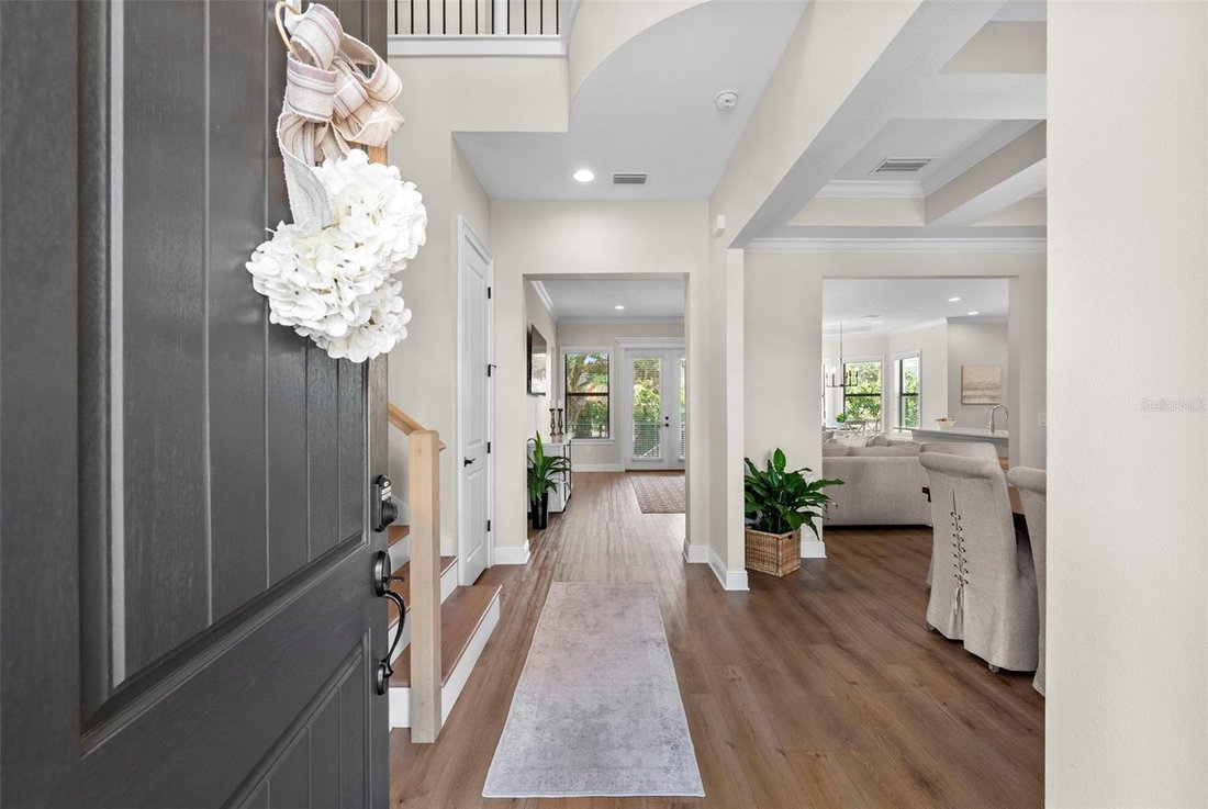 House in Tampa, Florida, United States 5 - 18726612