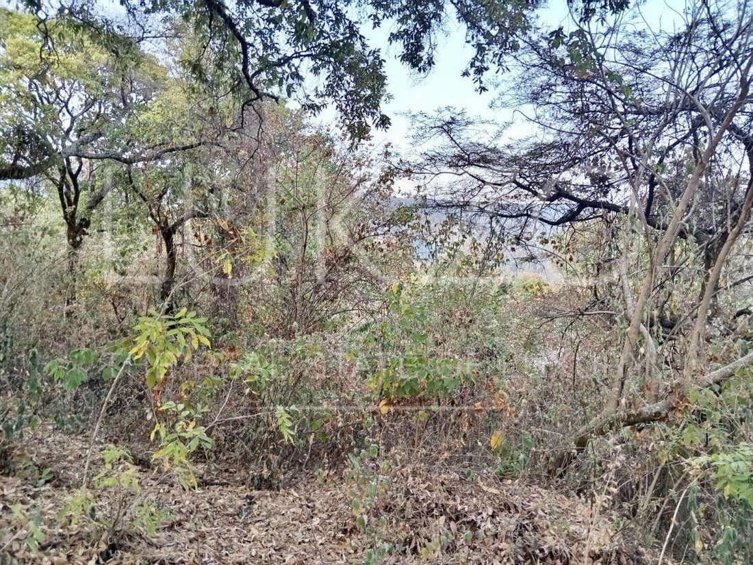 Terreno a Tepoztlán, Morelos, Messico 3 - 18726069