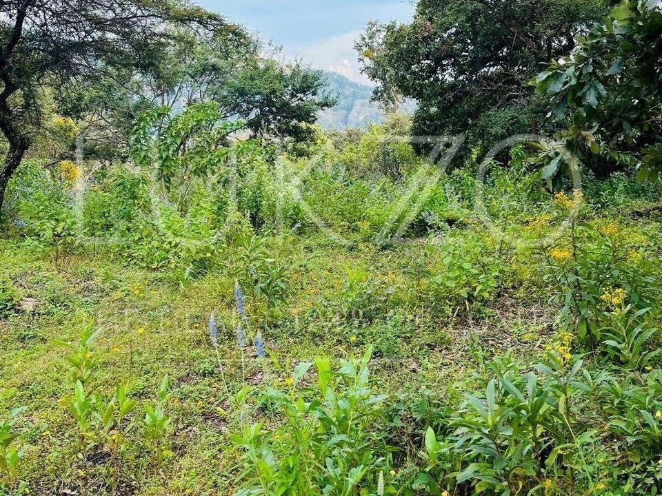 Terreno a Tepoztlán, Morelos, Messico 1 - 18726069