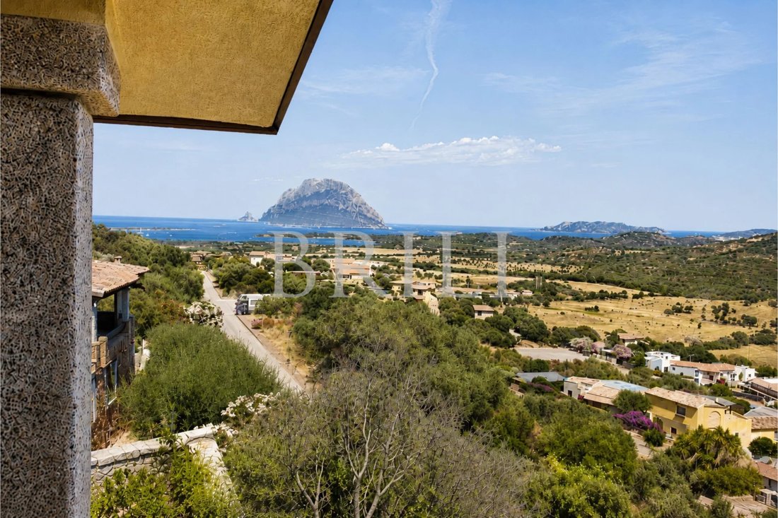 Villa in Loiri Porto San Paolo, Sardinien, Italien 2 - 18186408