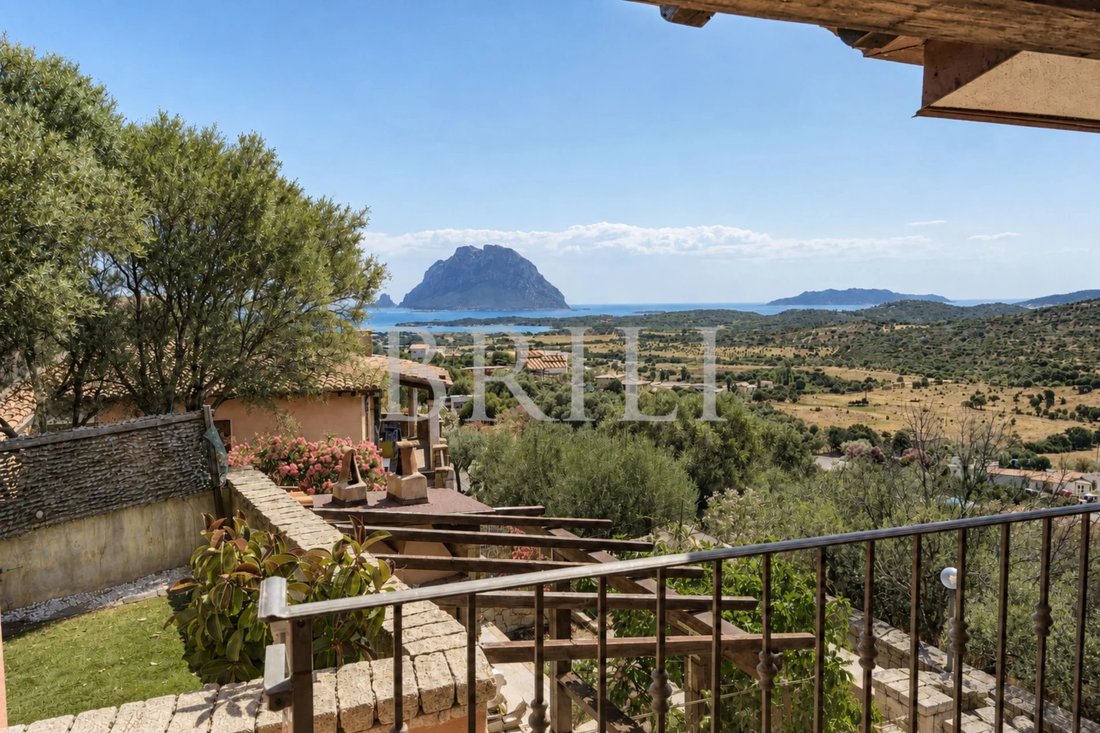 Villa in Loiri Porto San Paolo, Sardinien, Italien 1 - 18186408