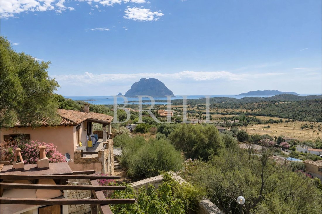 Villa in Loiri Porto San Paolo, Sardinien, Italien 3 - 18186408