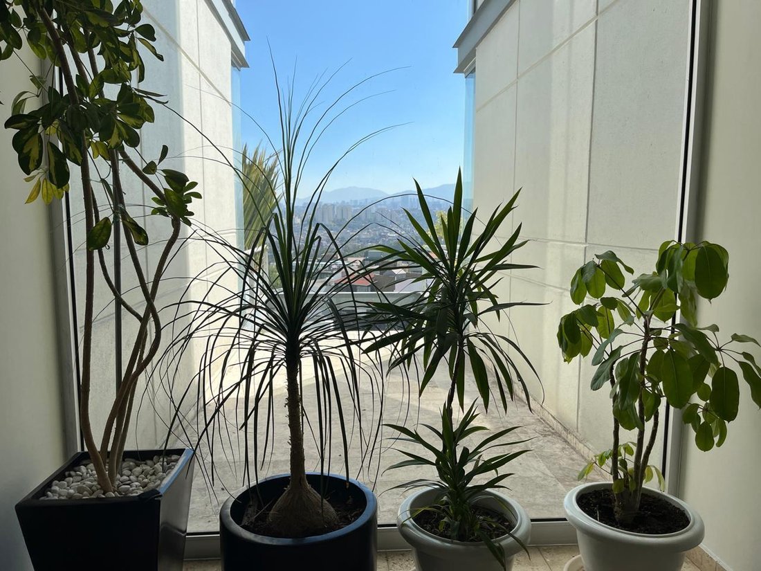 Apartamento en Naucalpan de Juárez, Estado de México, México 2 - 18725887