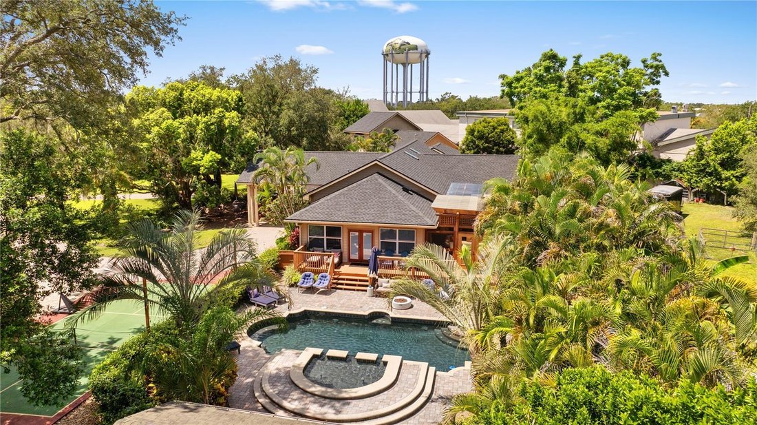 Haus in Palm Harbor, Florida, Vereinigte Staaten 3 - 18720868