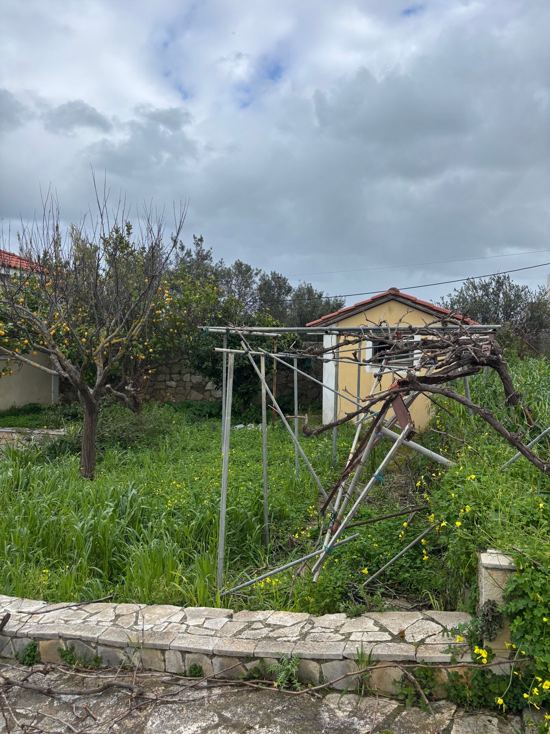 Land in Municipal Commune of Zakynthos, Peloponnese, Western Greece and the Ionian, Greece 5 - 18722422