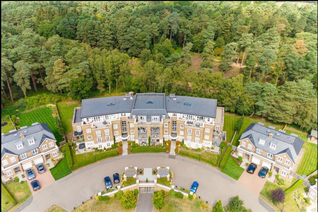 Wohnung in Sunninghill, England 1 - 18726506