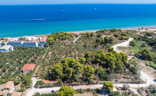 Land in Basilikou, Peloponnese, Western Greece and the Ionian, Griechenland 1