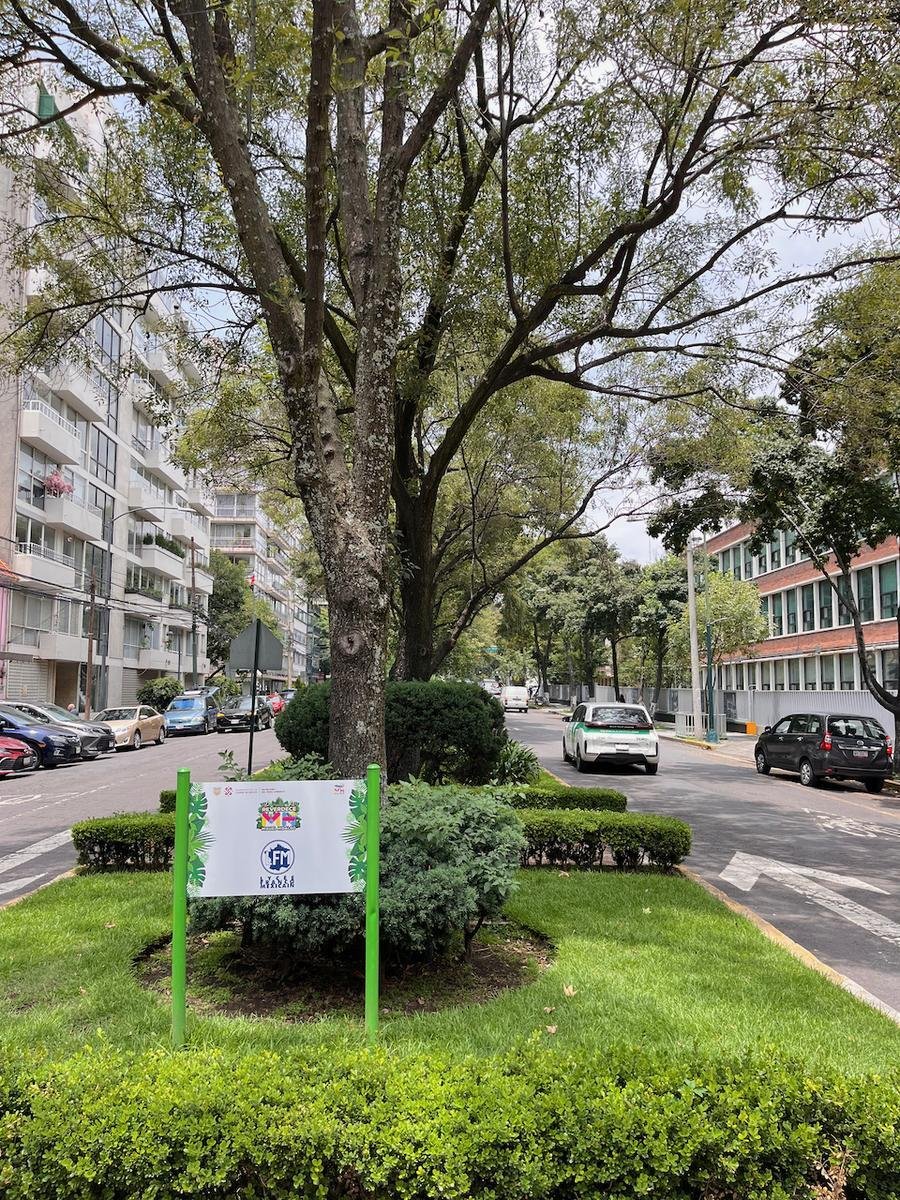 Apartment in Mexico City, Mexico 5 - 18725881