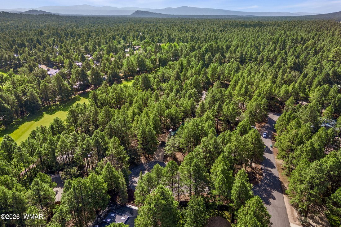Haus in Pinetop, Arizona, Vereinigte Staaten 2 - 18726858