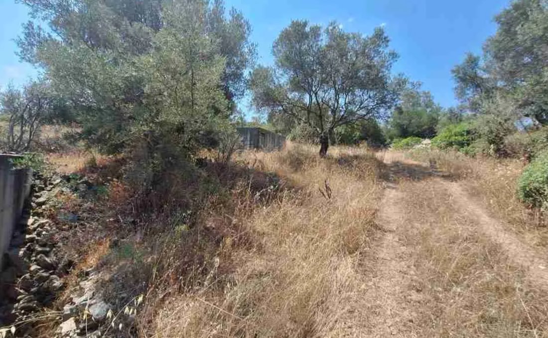 Land in Bolimon, Elaties, Greece 2 - 18722393