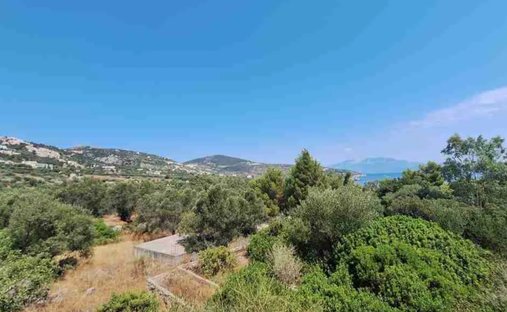 Land in Bolimon, Elaties, Greece 1