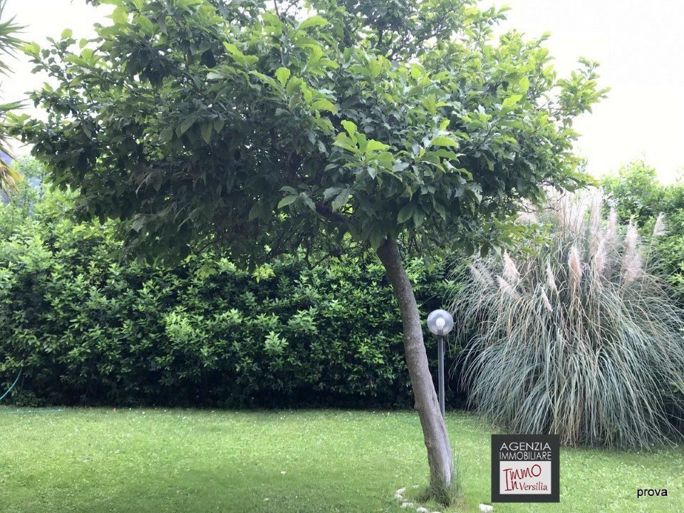 Villa en Stiava, Massarosa, Toscana 3 - 12195482