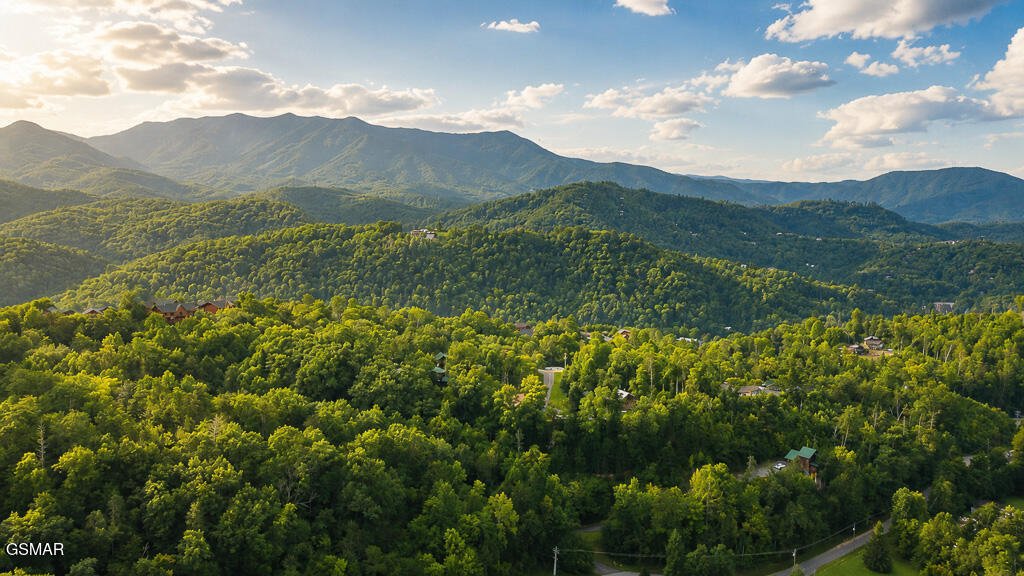 Haus in Gatlinburg, Tennessee, Vereinigte Staaten 2 - 18725953