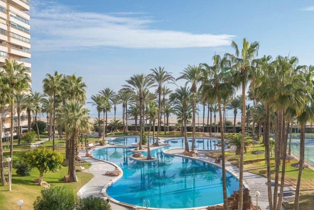 Apartment in el Campello, Valencian Community, Spain 5 - 17488068