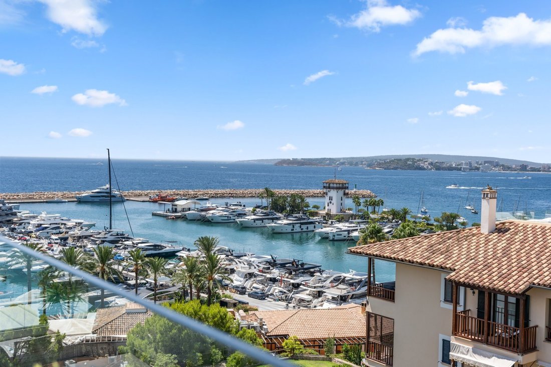 Apartment in Portals Nous, Calvia, Balearic Islands 2 - 18723003