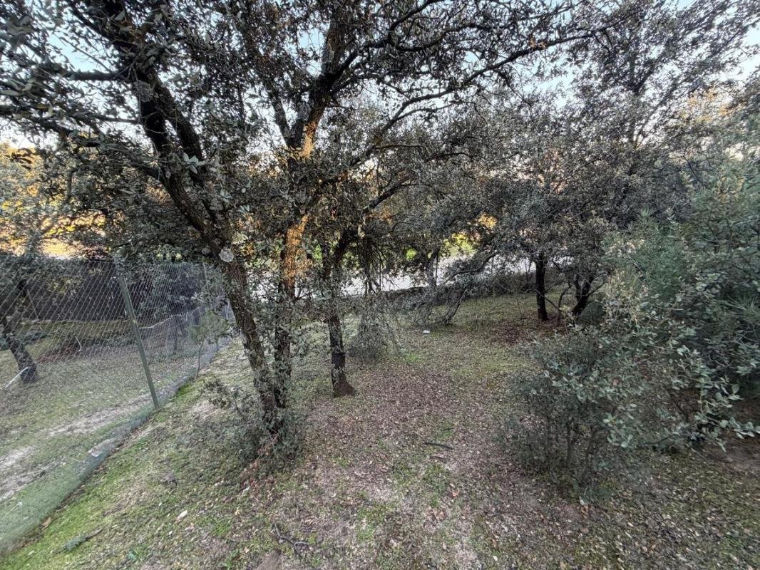 Land in Boadilla del Monte, Comunidad de Madrid, Spain 5 - 17756547