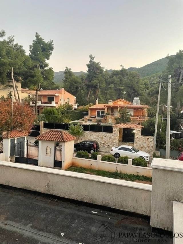 House in Dionysos, Attica, Greece 3 - 18723856