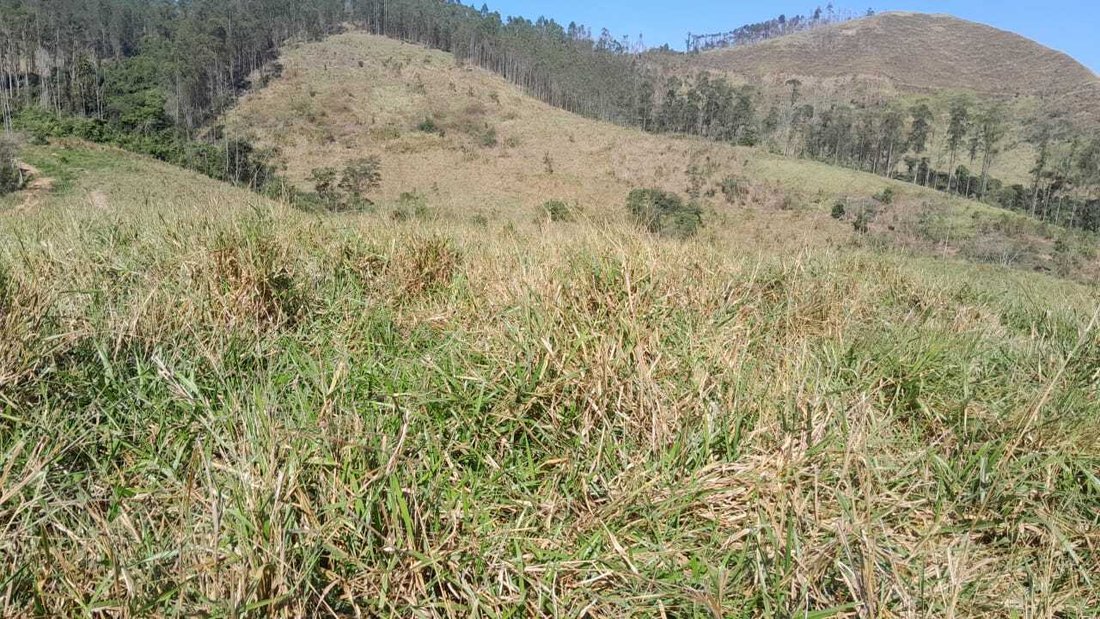 Rancho en Resende, Areias, Brasil 4 - 18726952