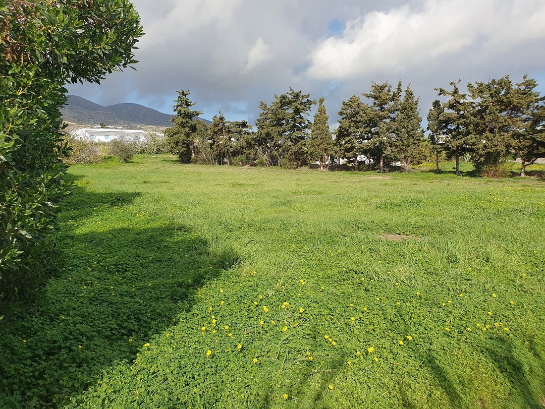 Terrain à Paros, Aegean, Grèce 4 - 18723844