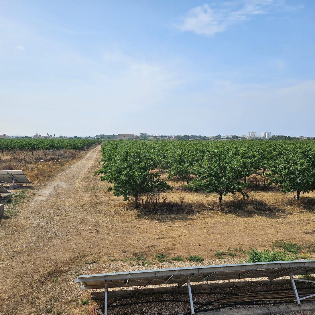 Farm Ranch in Palma, Balearic Islands, Spain 5 - 17569124