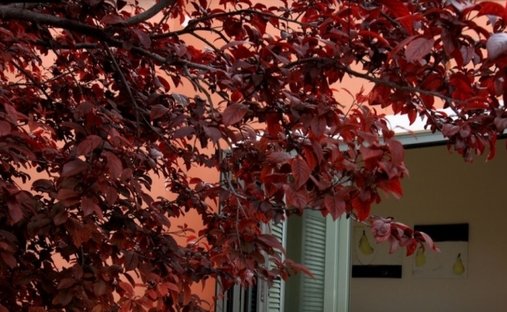 Estate in South Athens, Attica, Greece 1