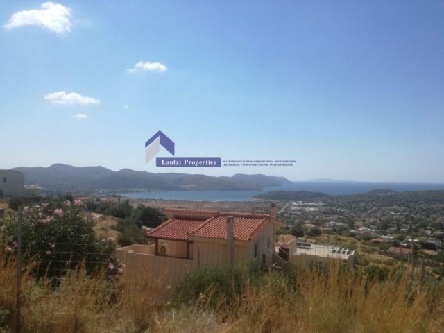 House in Anavissos, Attica, Greece 5 - 18722902